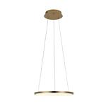 Превью фото №3  Подвесной светильник 10014S Подвесной светильник LOFT IT Ring