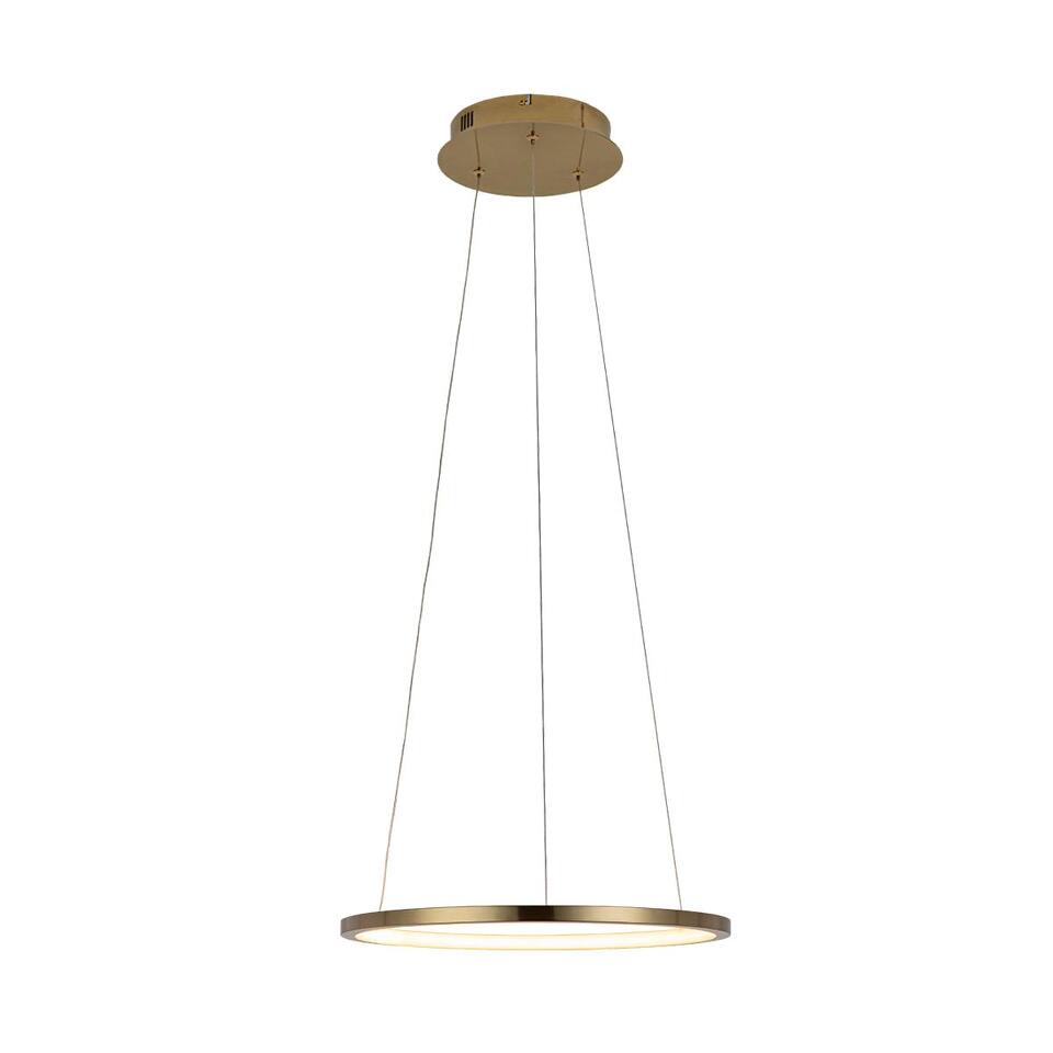 Фото №5  Подвесной светильник 10014S Подвесной светильник LOFT IT Ring