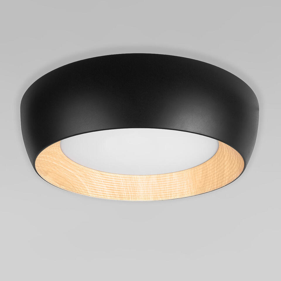 Фото №7  10255/500 Black Потолочный светильник LOFT IT Folk