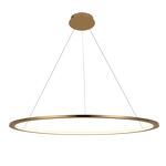 Превью фото №3  Подвесной светильник 10014L Подвесной светильник LOFT IT Ring
