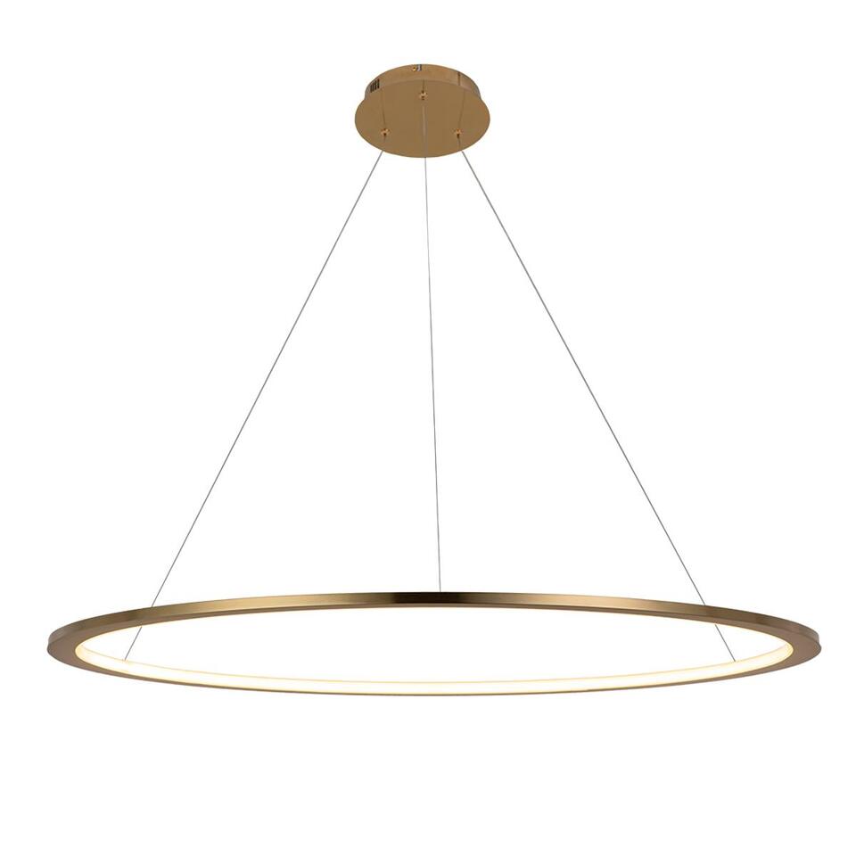 Фото №7  Подвесной светильник 10014L Подвесной светильник LOFT IT Ring