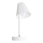 Превью фото №3  10216/1W White Настенный светильник LOFT IT Shelf