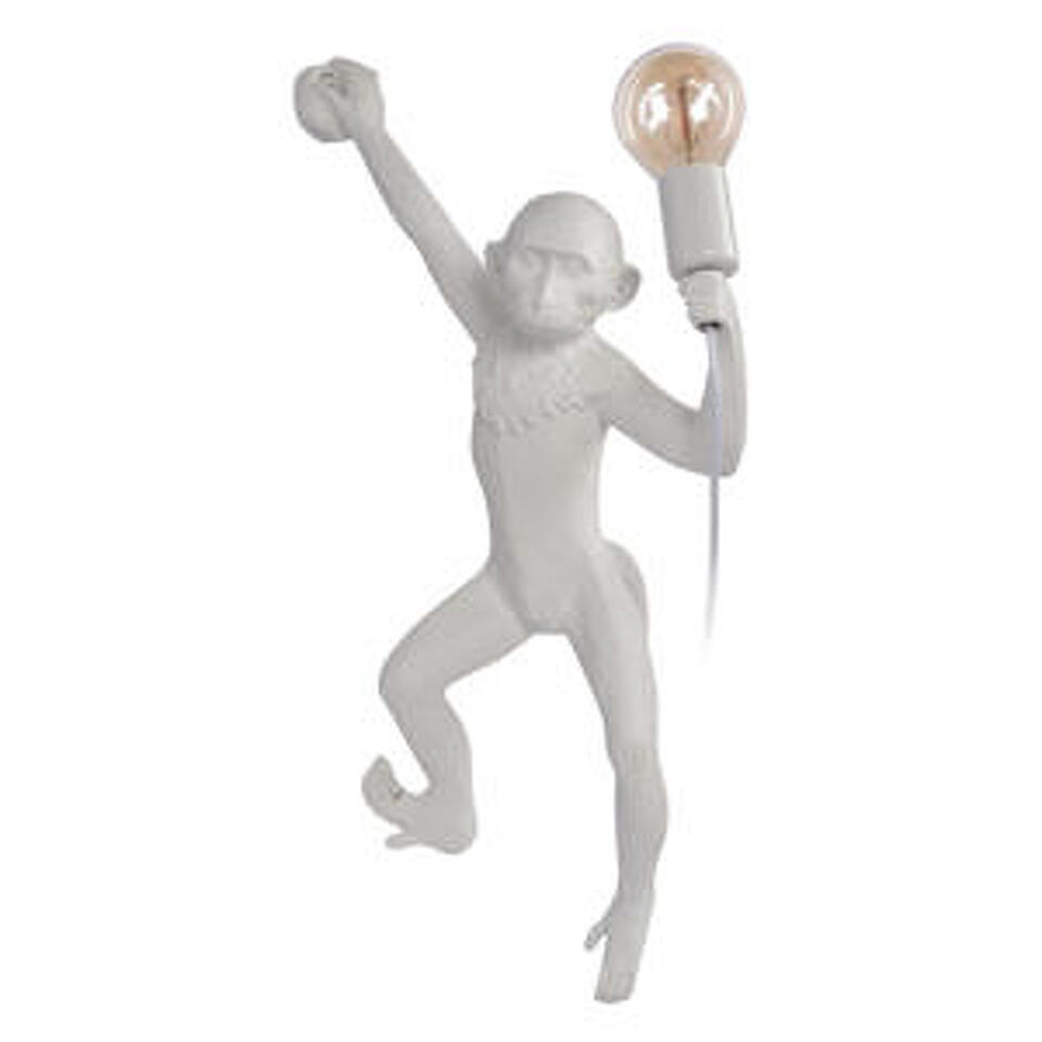 Фото №8  10314W/B Настенный светильник LOFT IT Monkey