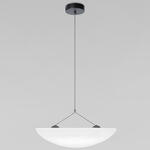 Превью фото №3  Подвесной светильник 10347/M Подвесной светильник LOFT IT Tense