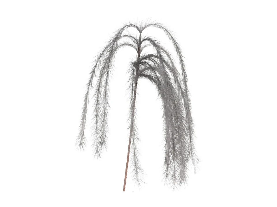 Фото №1  OGOGOHOME Ветка декоративная FEATHERS 130 см
