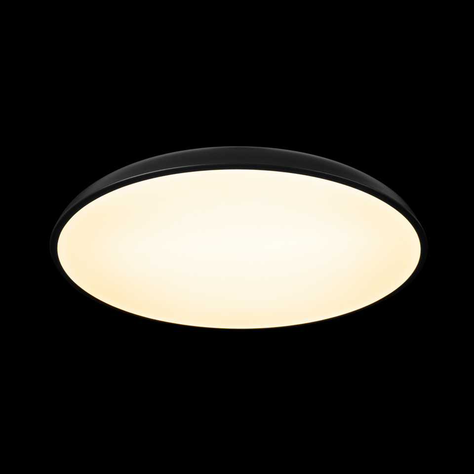 Фото №7  10371 Black Потолочный светильник LOFT IT Dime