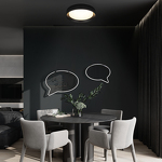 Превью фото №7  10202 BB Потолочный светильник LOFT IT Coin