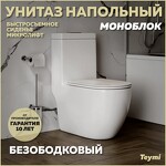 Превью фото №1  Унитаз Teymi Унитаз напольный Моноблок Lina безободковый, сиденье Дюропласт микролифт T41102