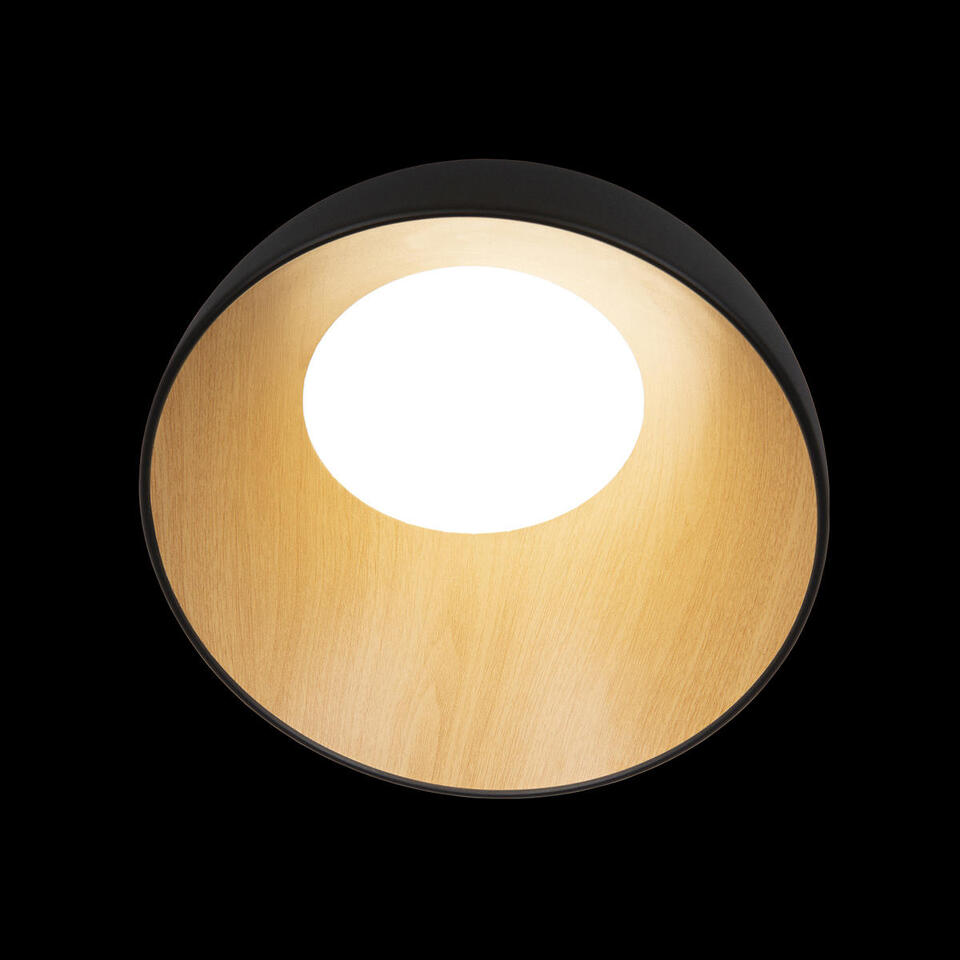 Фото №7  10197/350 Black Потолочный светильник LOFT IT Egg