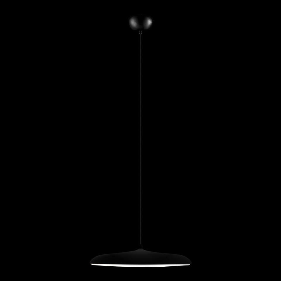 Фото №7  Подвесной светильник 10119 Black Подвесной светильник LOFT IT Plato