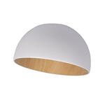 Превью фото №5  10197/350 White Потолочный светильник LOFT IT Egg