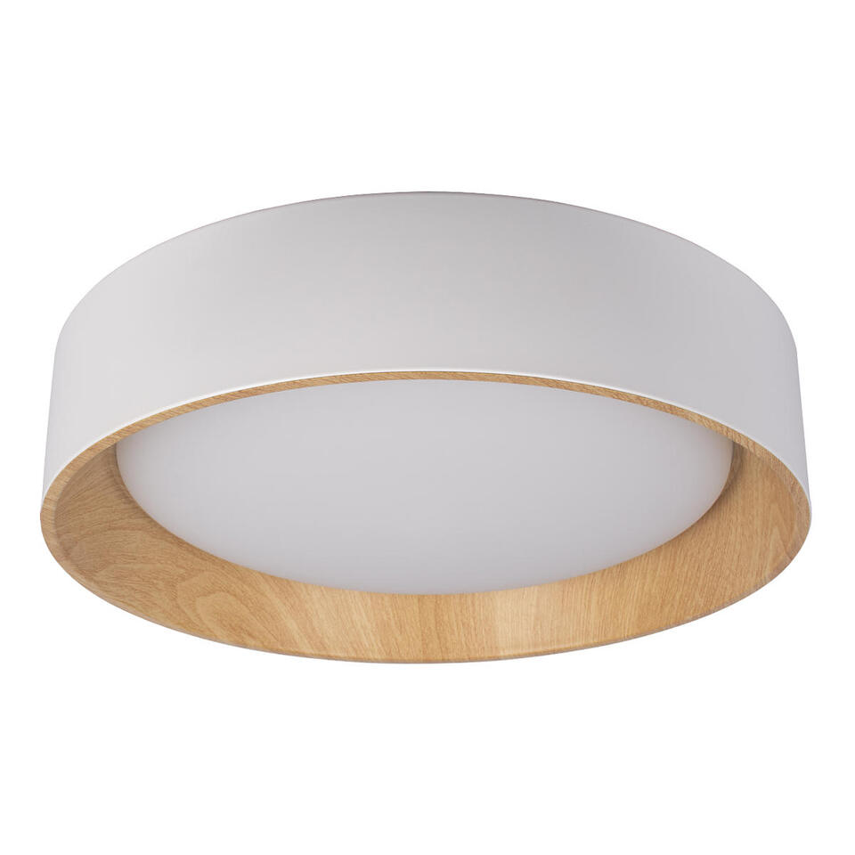 Фото №6  10202 White Потолочный светильник LOFT IT Coin