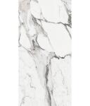Превью фото №11  REX Керамогранит LES ORIGINES DE REX ARGENT GLOSSY 60X120