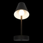 Превью фото №2  10216/1W Black Настенный светильник LOFT IT Shelf