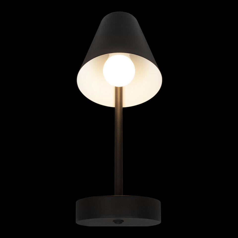 Фото №8  10216/1W Black Настенный светильник LOFT IT Shelf