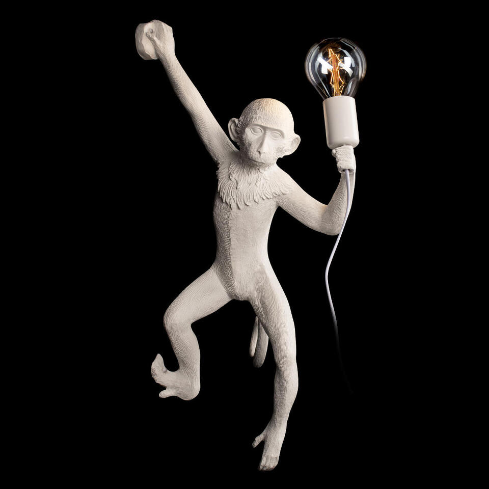 Фото №8  10314W/B Настенный светильник LOFT IT Monkey