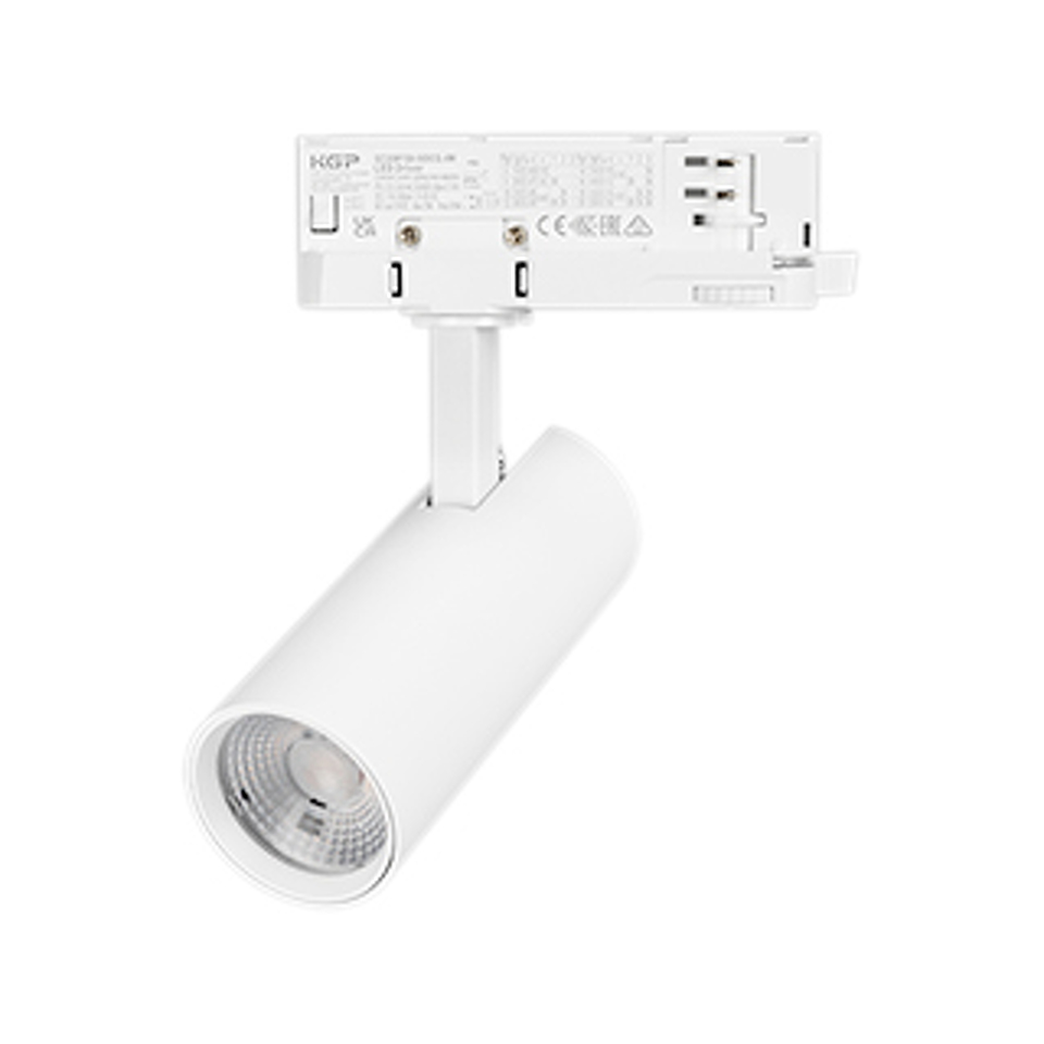 Фото №1  Arlight Светильник LGD-GERA-4TR-R55-10W Day4000 (WH, 55 deg, 230V) ( IP20 Металл, 5 лет)