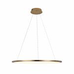 Превью фото №1  Подвесной светильник 10014L Подвесной светильник LOFT IT Ring