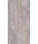 Превью фото №1  Плитка ABK Керамическая плитка INTERNO 9 SILVER ret 160X320