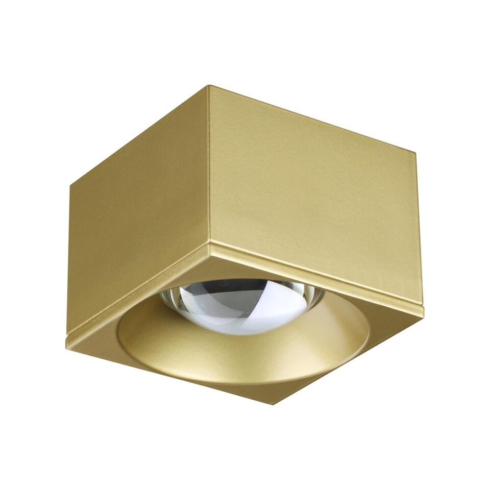 Фото №5  NOVOTECH 358670 OVER NT21 230 золото Светильник накладной светодиодный IP20 LED 4000К 12W 220V PATERA