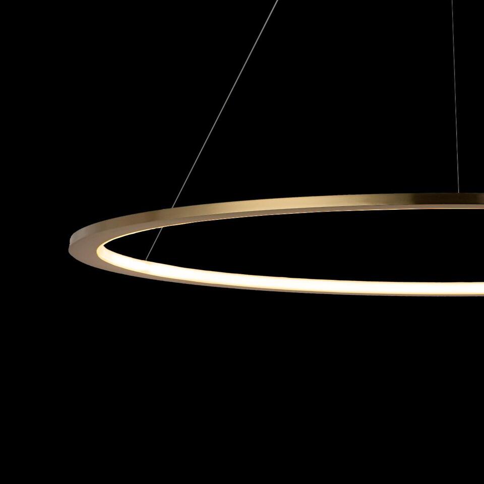 Фото №7  Подвесной светильник 10014XL Подвесной светильник LOFT IT Ring