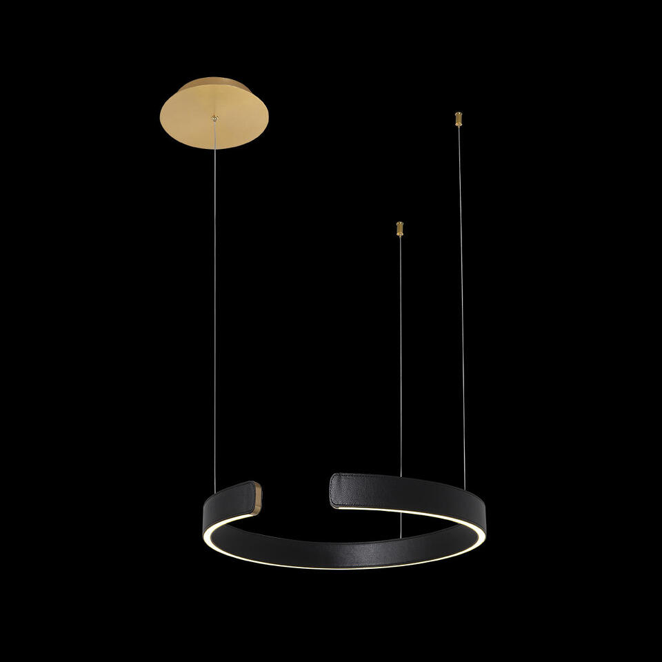 Фото №6  Подвесной светильник 10025/400 Black Подвесной светильник LOFT IT Ring