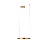 Превью фото №3  Подвесной светильник 10013S Подвесной светильник LOFT IT Ring