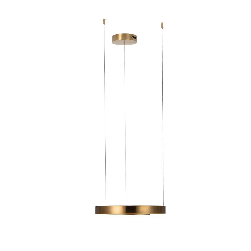 Фото №6  Подвесной светильник 10013S Подвесной светильник LOFT IT Ring