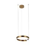 Превью фото №6  Подвесной светильник 10013S Подвесной светильник LOFT IT Ring