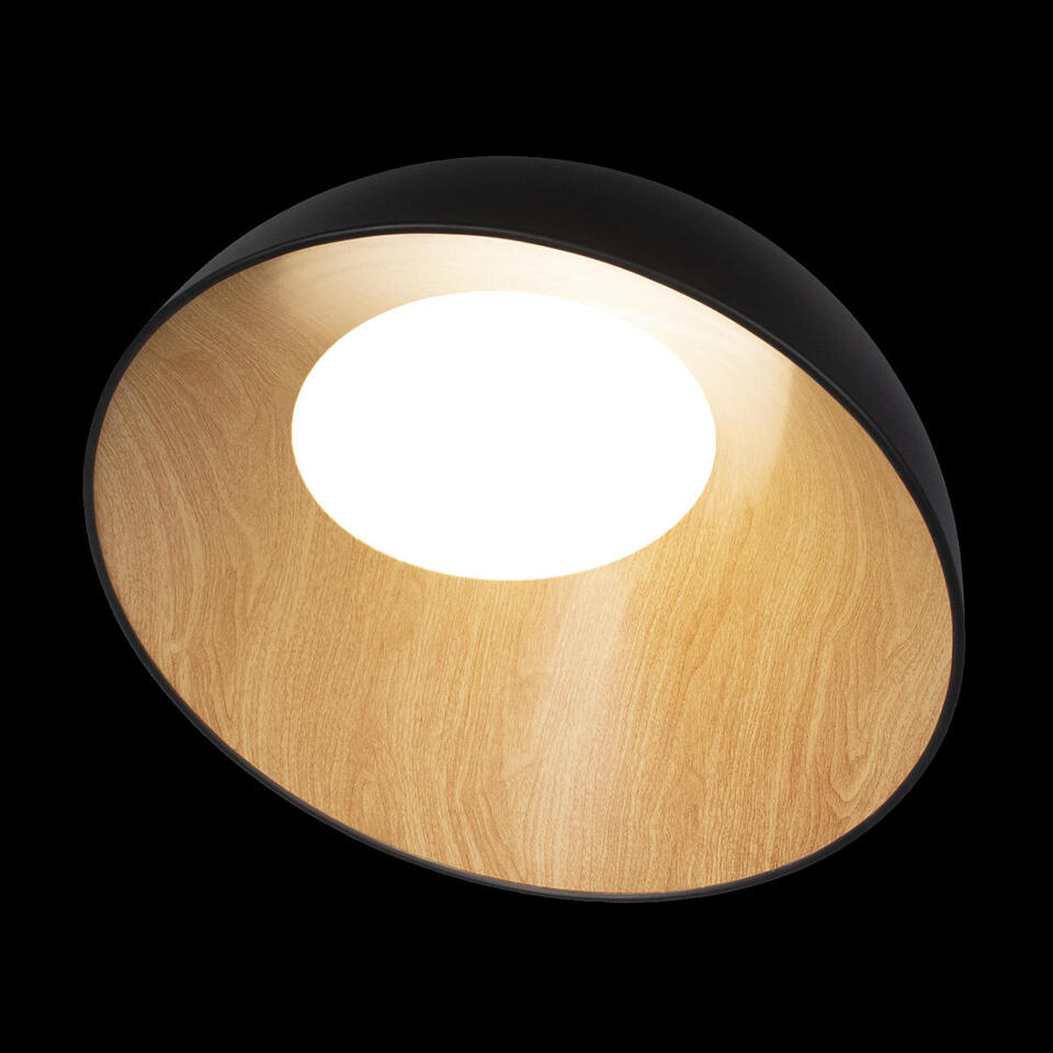 Фото №7  10197/500 Black Потолочный светильник LOFT IT Egg