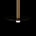 Превью фото №8  Подвесной светильник 10358/830 Disk AB Подвесной светильник LOFT IT Reed