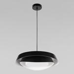 Превью фото №9  Подвесной светильник 10256P Black Подвесной светильник LOFT IT Petale