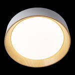 Превью фото №4  10202 White Потолочный светильник LOFT IT Coin