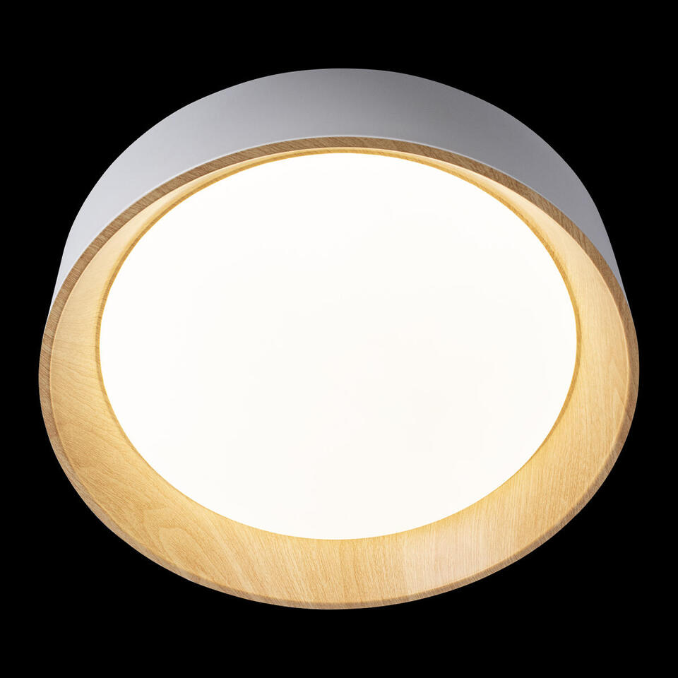 Фото №6  10202 White Потолочный светильник LOFT IT Coin