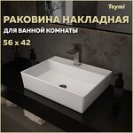 Превью фото №1  Раковина Teymi Раковина Aina 56 накладная с полочкой под смеситель, белая