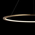 Превью фото №6  Подвесной светильник 10014L Подвесной светильник LOFT IT Ring