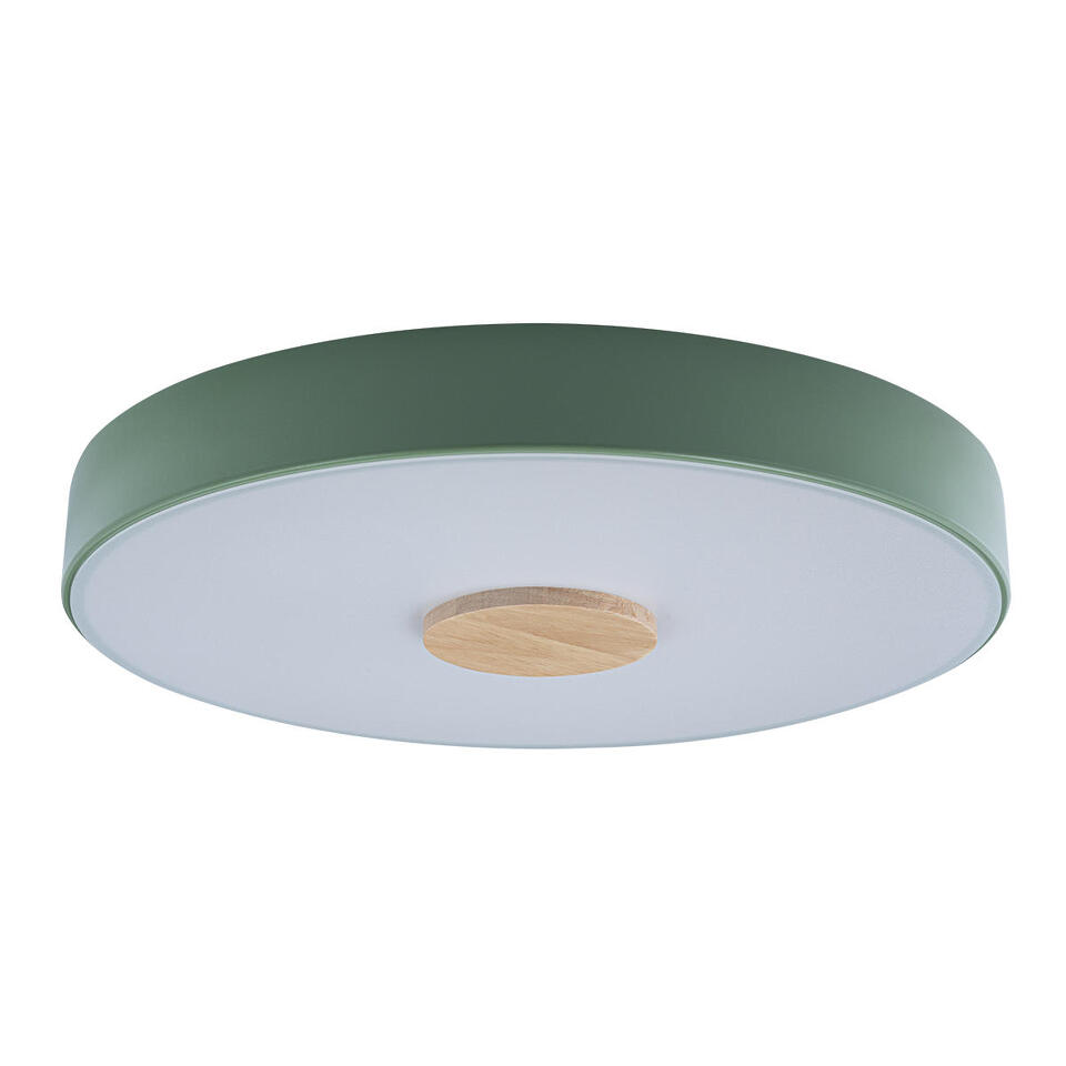 Фото №5  10003/24 Green Потолочный светильник LOFT IT Axel