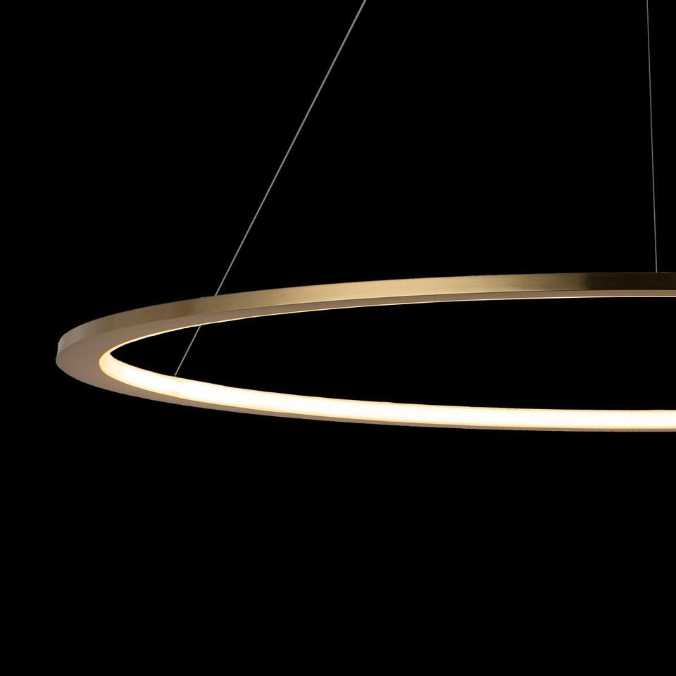 Фото №7  Подвесной светильник 10014L Подвесной светильник LOFT IT Ring