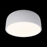 Превью фото №4  10201/350 White Потолочный светильник LOFT IT Axel