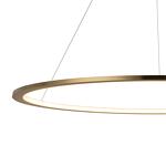 Превью фото №5  Подвесной светильник 10014L Подвесной светильник LOFT IT Ring