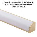 Превью фото №5  PULSE Заглушка торцевая для СМ1/CM2, золото матовое (LSPA-CAP-CM1/2-GL)