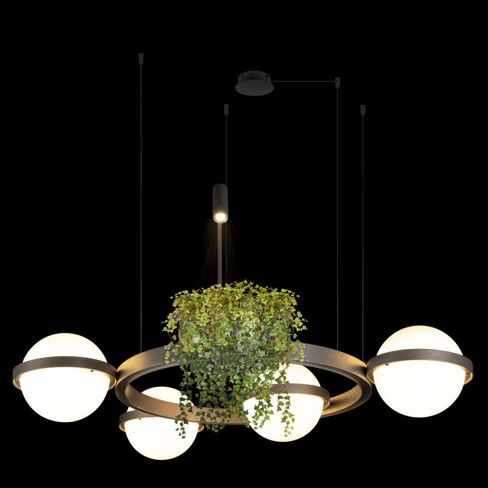 Фото №6  Подвесной светильник 10121/4 Dark grey Подвесной светильник LOFT IT Jardin