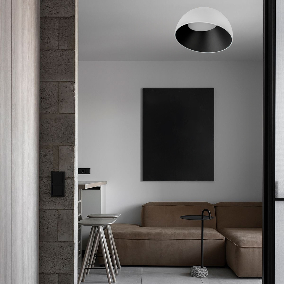 Фото №7  10197/350 WB Потолочный светильник LOFT IT Egg
