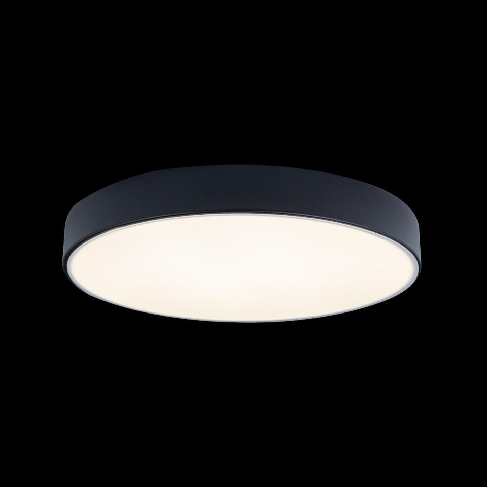 Фото №3  10002/24 Black Потолочный светильник LOFT IT Axel