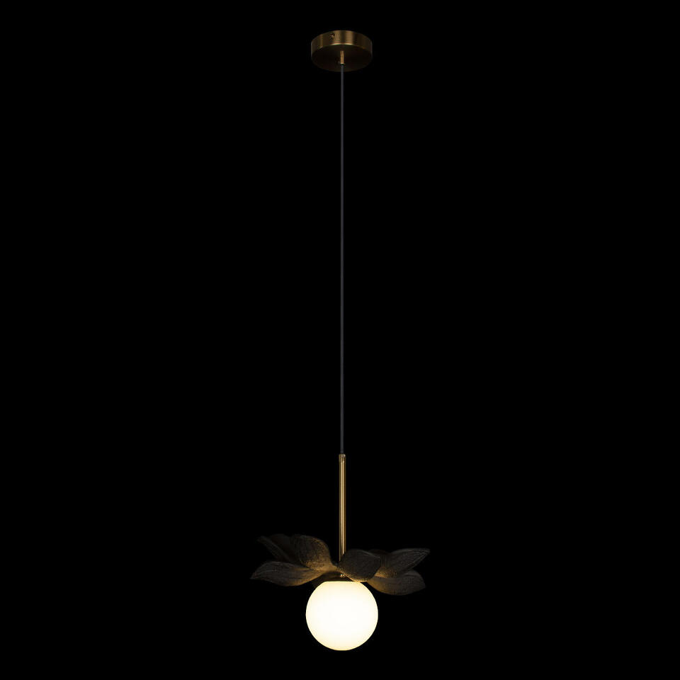 Фото №6  Подвесной светильник 10213/B Black Подвесной светильник LOFT IT Monro