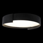 Превью фото №2  10200 Black Потолочный светильник LOFT IT Coin