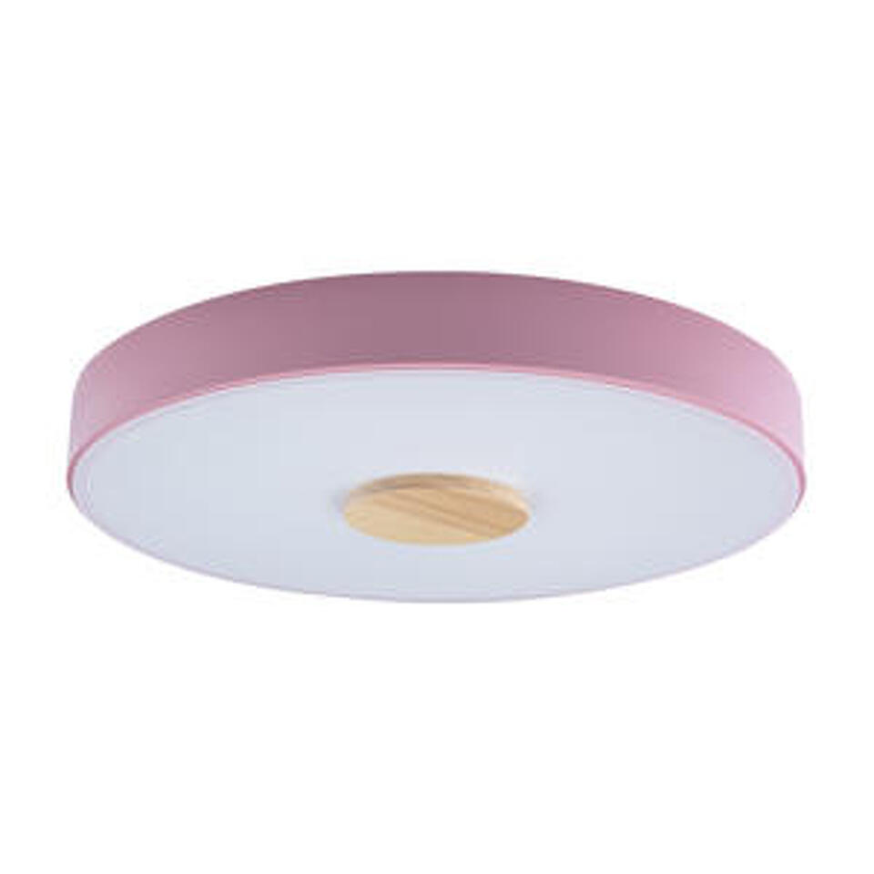 Фото №5  10003/24 Pink Потолочный светильник LOFT IT Axel