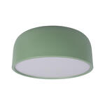 Превью фото №1  10201/350 Green Потолочный светильник LOFT IT Axel