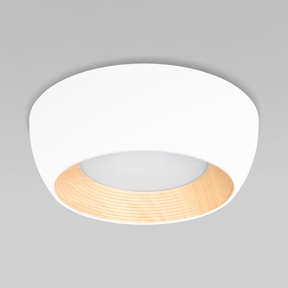 Фото №7  10255/350 White Потолочный светильник LOFT IT Folk