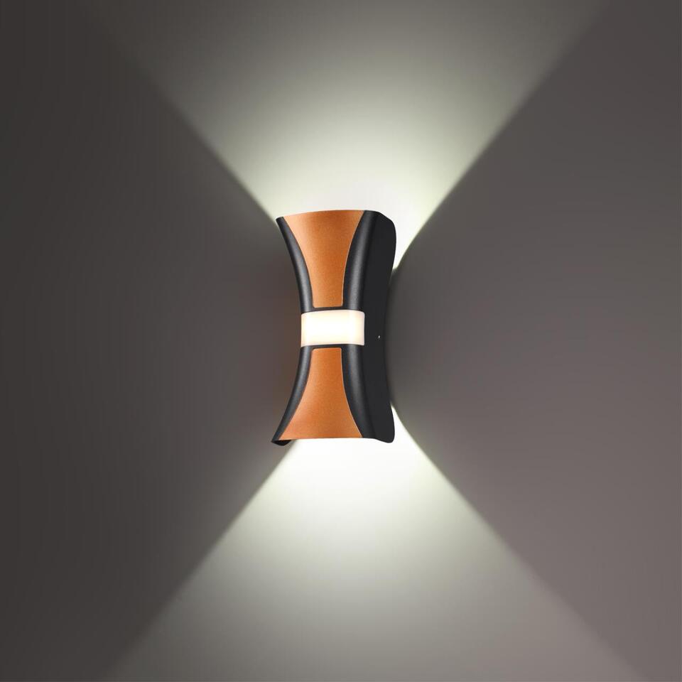 Фото №6  NOVOTECH 358936 STREET NT22 730 черный/золото Светильник ландшафтный светодиодный IP54 LED 4000К 12W 85-265V CALLE